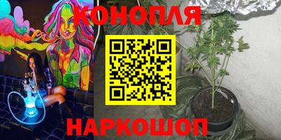 прущие крисы Севастополь