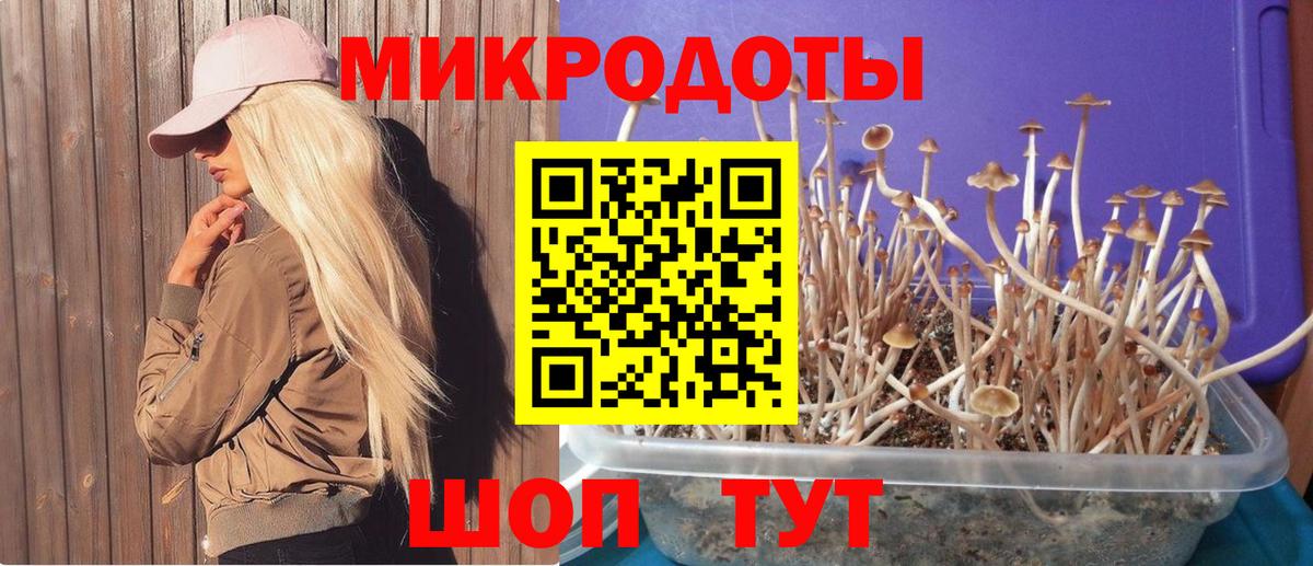 Печора  купить закладку  Вход с VPN  Галлюциногенные грибы MAGIC MUSHROOMS 