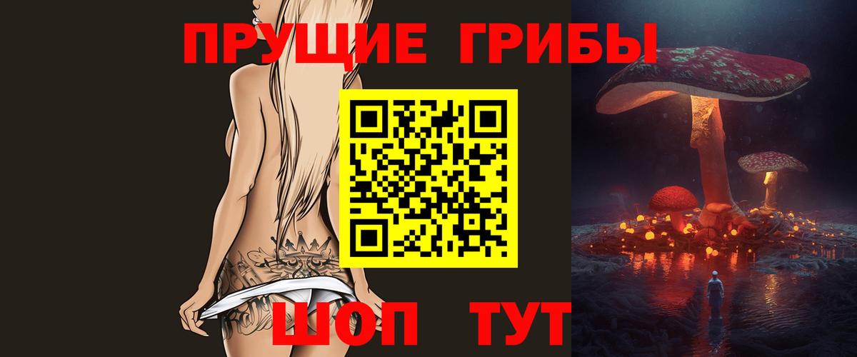 APVP Печора